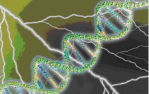 New "laser" lighting on DNA and its repair