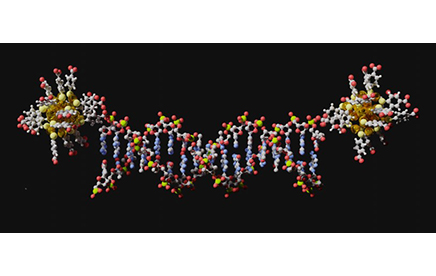 Vers la conception de matériaux auto-assemblés et bio-dirigés par l’ADN