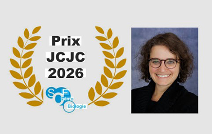 Sarah Hostachy wins the SCF-ChemBio JCJC Award 2026