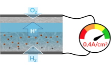 « Imager » les molécules dans un matériau nanocomposite bio-inspiré pour les piles à combustible hydrogène