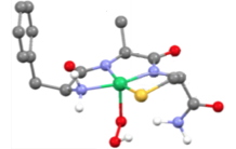 Des complexes bio-inspirés de l’enzyme NiSOD contre les effets du stress oxydant