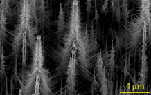 Ultracapacitors with highly doped silicon nanowires electrodes