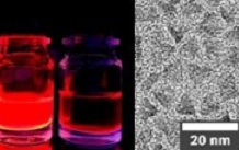 Les quantum dots de phosphure d’indium voient rouge infrarouge